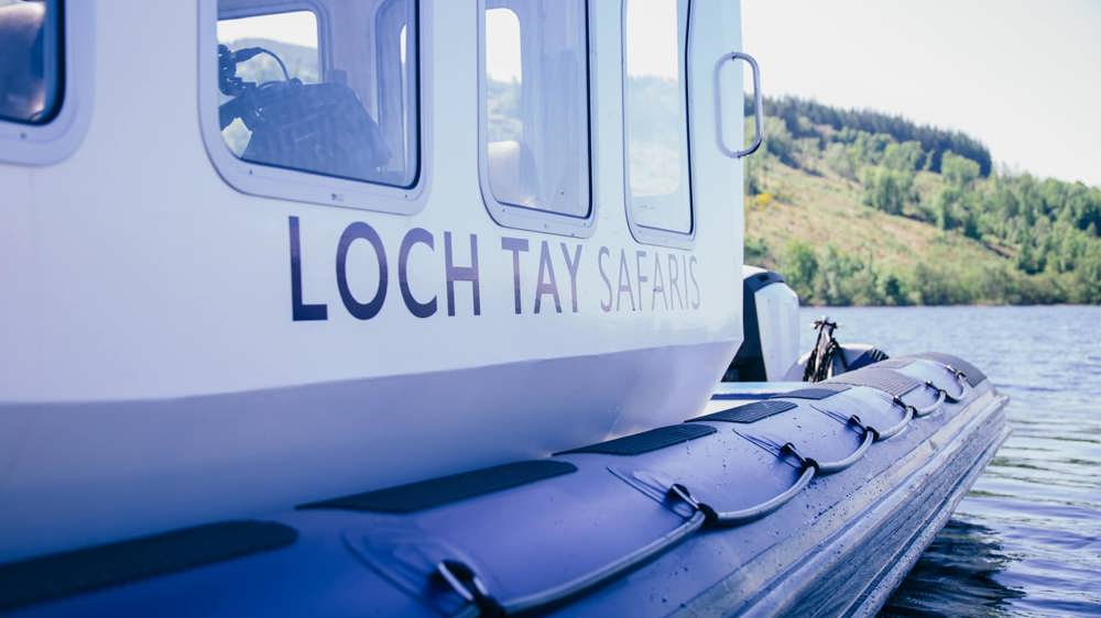 Loch Tay Safaris